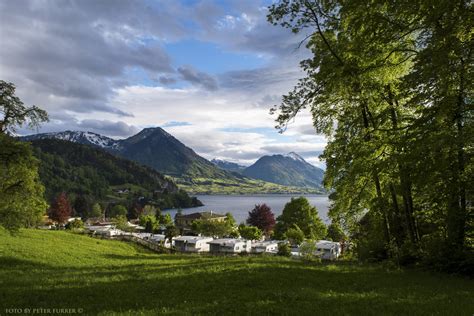 Camping am Vierwaldstättersee 